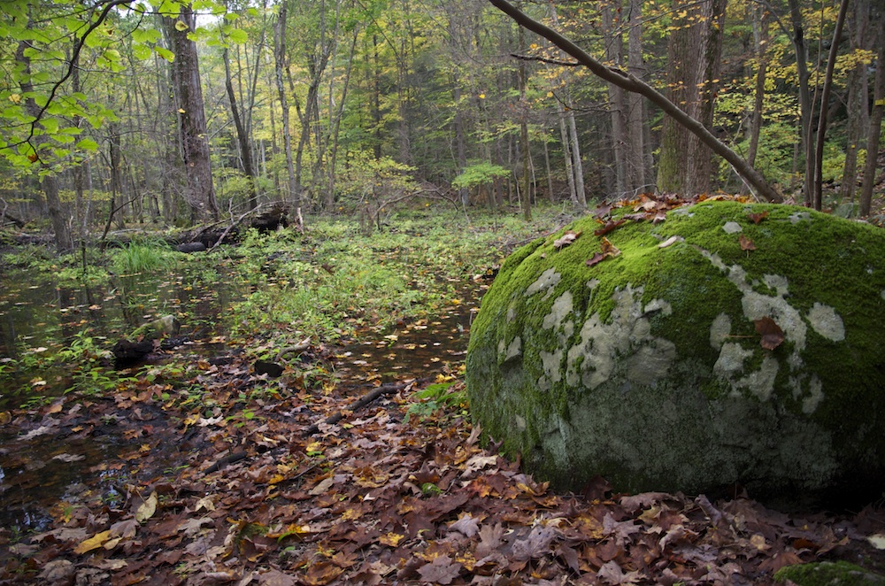 John Burroughs Nature Sanctuary